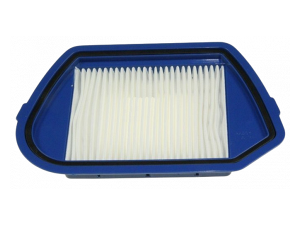 HEPA-suodatin Rowenta RO5342 pölynimuriin RS-RT900097